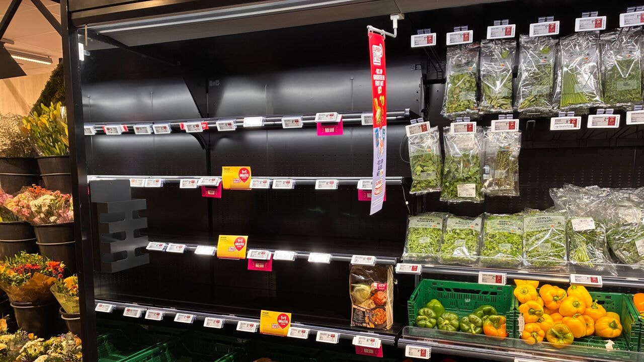 Albert Heijn en Delhaize getroffen door IT-incident: lege schappen mogelijk in Nederland, impact bij ons kleiner