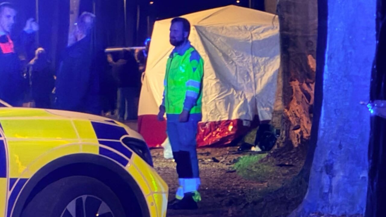 Bestuurder onder invloed rijdt tegen boom in Sint-Kruis: passagier (50) sterft, tiener (19) zwaargewond