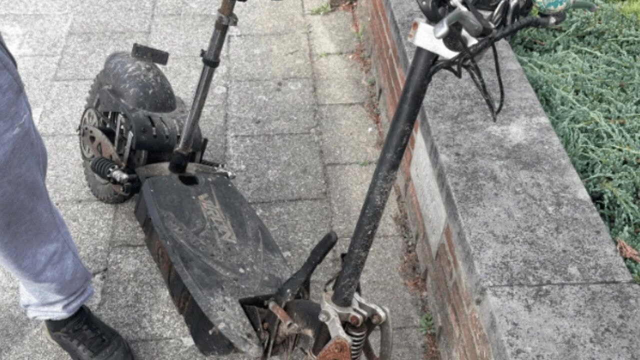 Kruising tussen e-step en bromfiets: politie doet opvallende inbeslagname in Willebroek