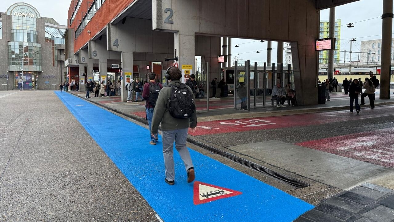 "Blauwe voetgangersstroken niet minder verwarrend": mobiliteitsexpert kritisch voor maatregelen aan busstation Leuven