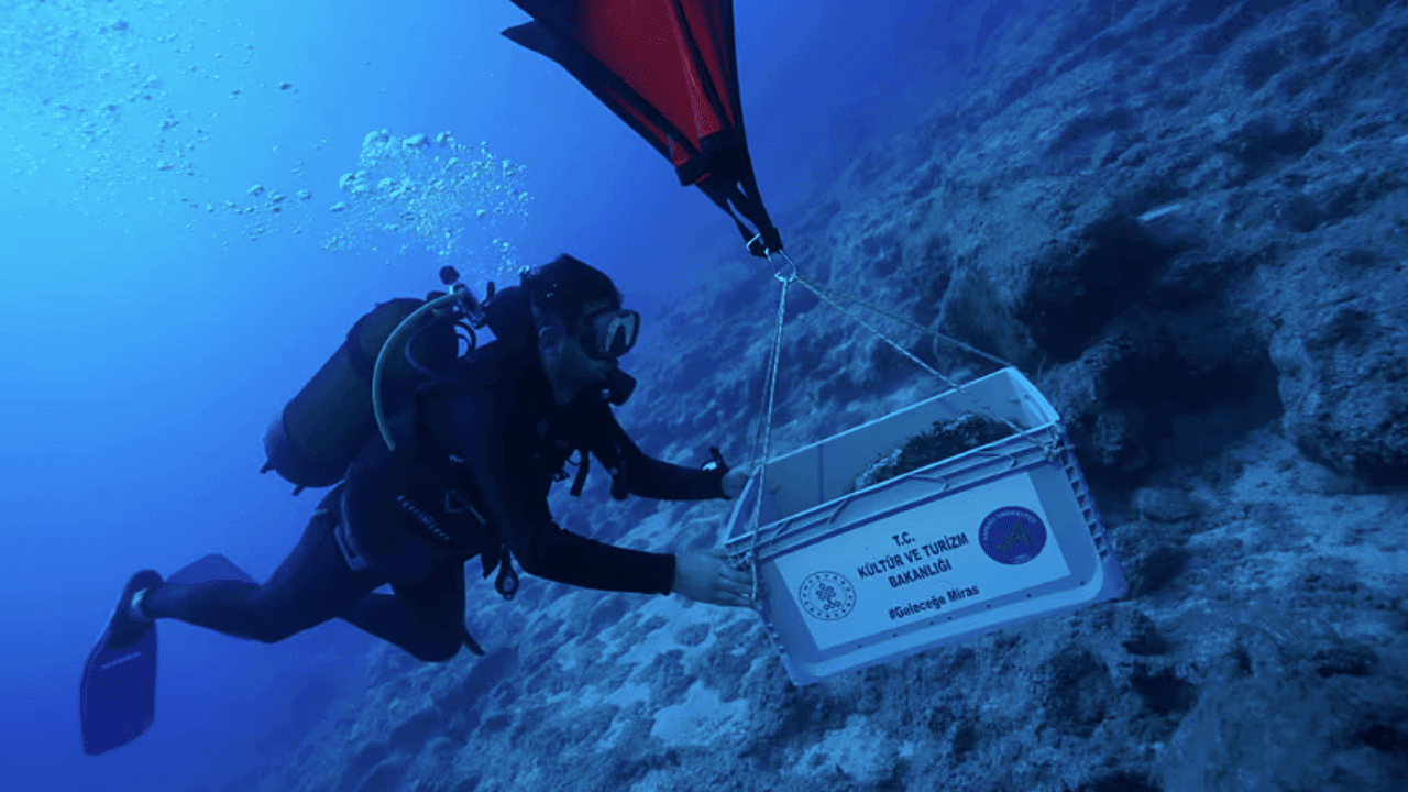 Zo oud als piramides van Gizeh: archeologen vinden oudste scheepswrak van de wereld voor kust Turkije