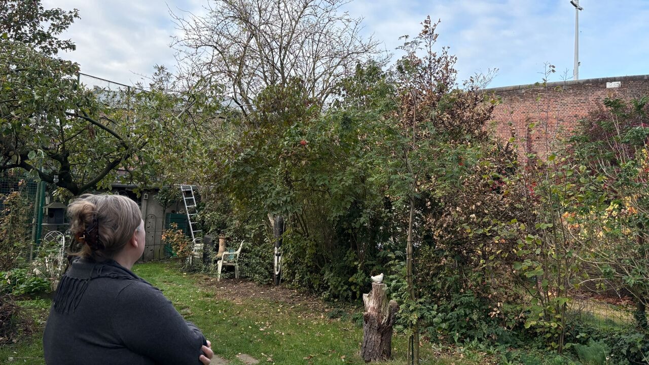 Buurvrouw Sandra wil verhuizen door overlast in tuin naast Mechelse gevangenis: "Drugs in tennisballen en gebrul"