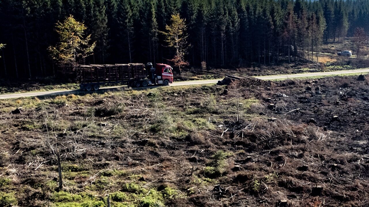 Restauratie van Hoge Venen van start gegaan, Waals Gewest investeert 20 miljoen euro
