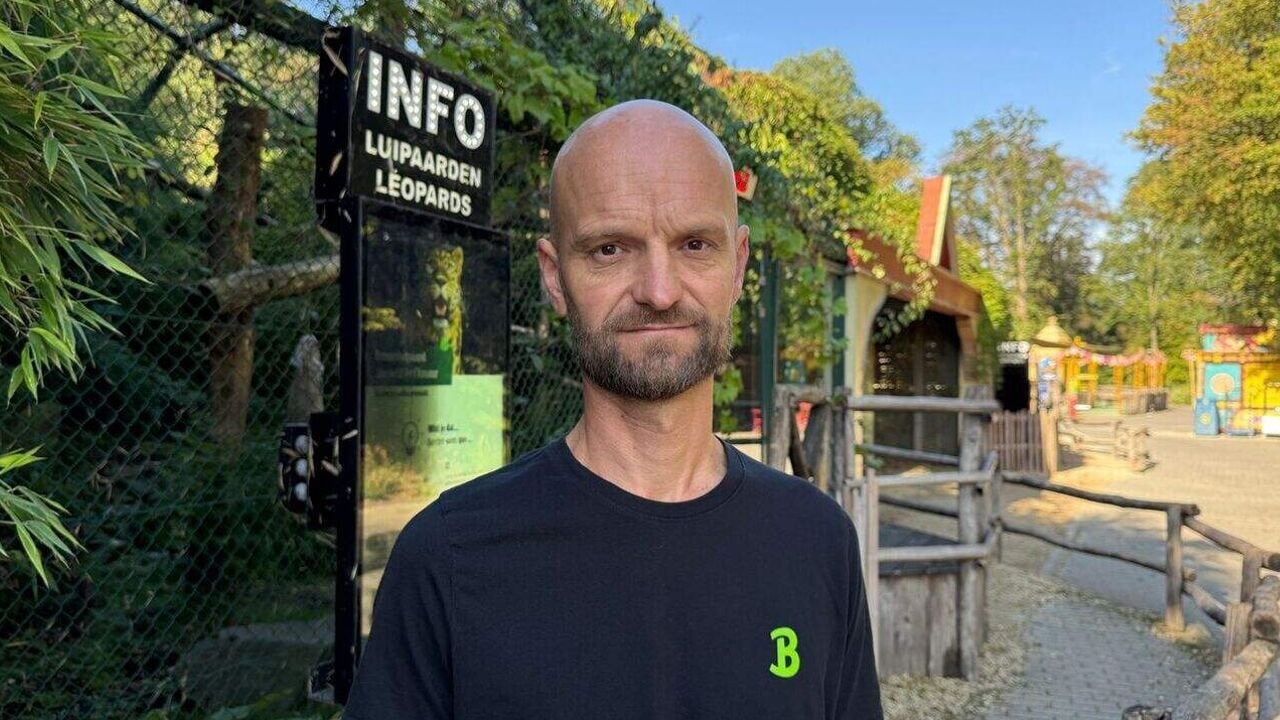 Panteraanval Beekse Bergen komt hard aan bij collega-dierenverzorgers: "Onze gemeenschap is een kleine wereld"