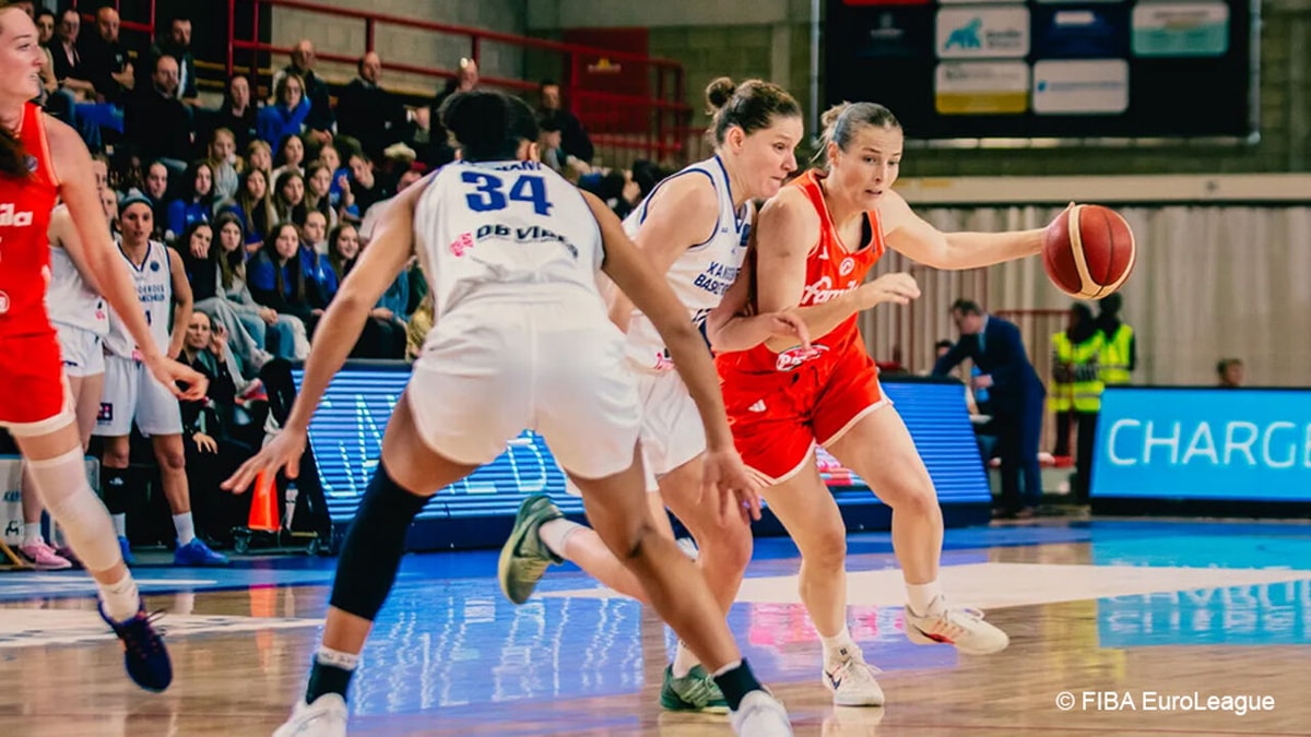 Kangoeroes Mechelen gaat zwaar onderuit in EuroLeague tegen het Italiaanse Schio van Kim Mestdagh