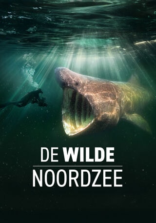 - op VRT MAX