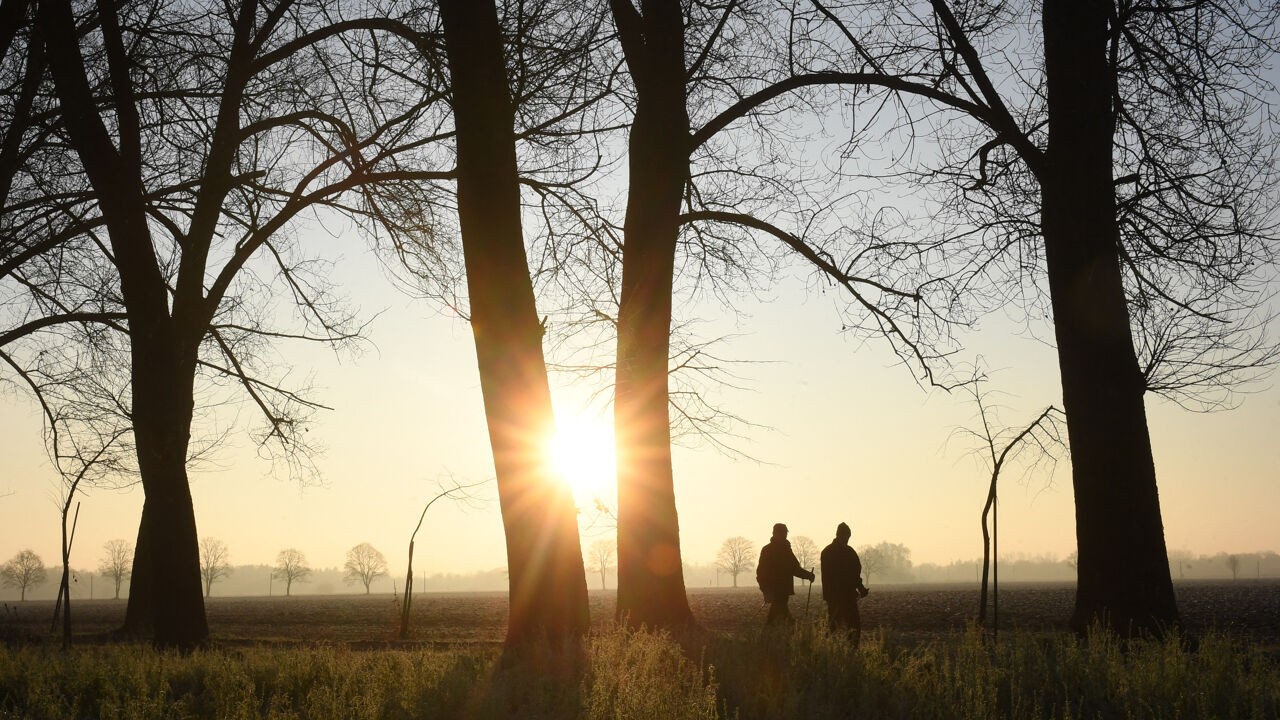 Winter was warm en eerder droog, enkel rond jaarwisseling was het duidelijk kouder