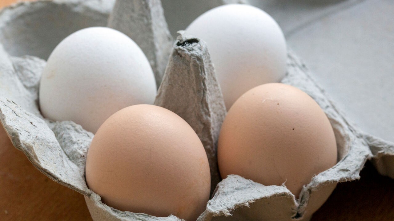 Al minstens 300 mensen ziek door salmonella uit eieren van bedrijf in Geel: "Check de codes op de eieren"
