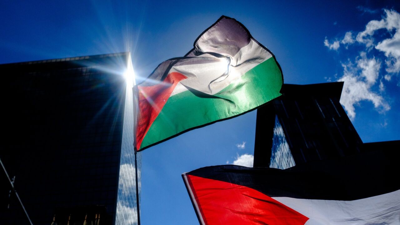 36 pro-Palestijnse betogers bestuurlijk gearresteerd in Antwerpen tijdens omstreden 'Shalom Festival'
