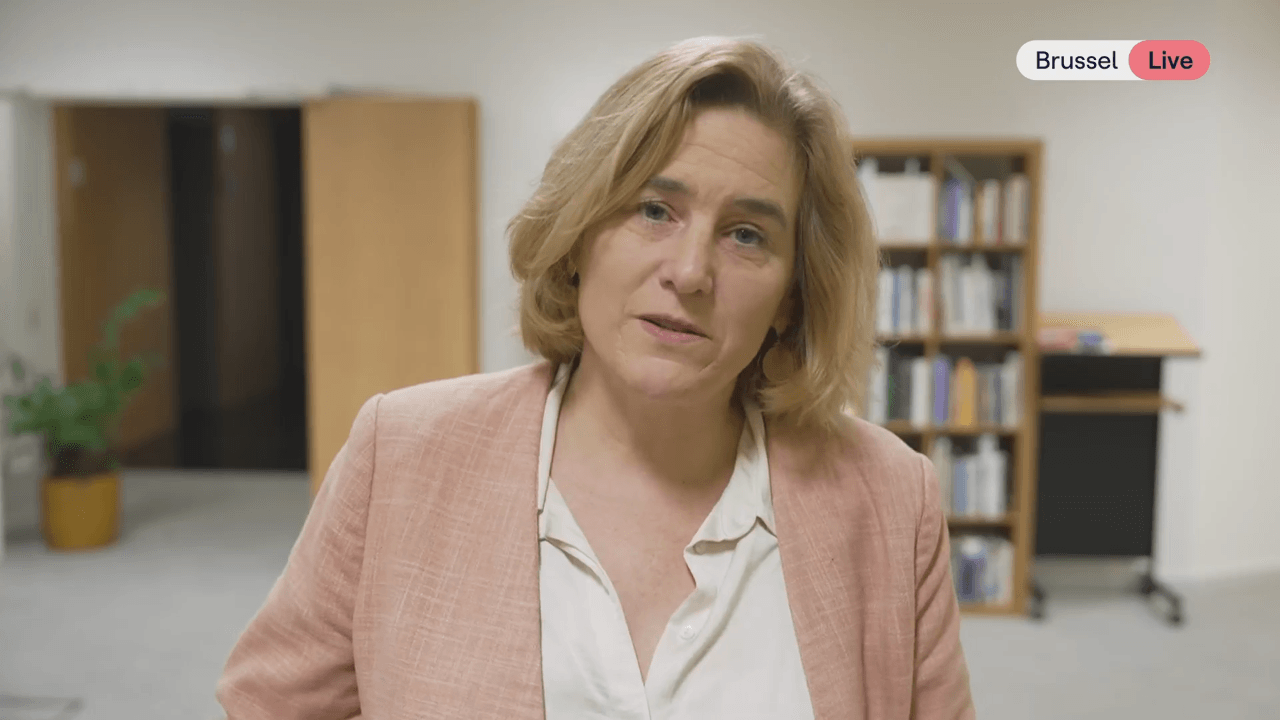 Elke Van den Brandt gaat zich niet kandidaat stellen om Bart Dhondt op te volgen als voorzitter van Groen