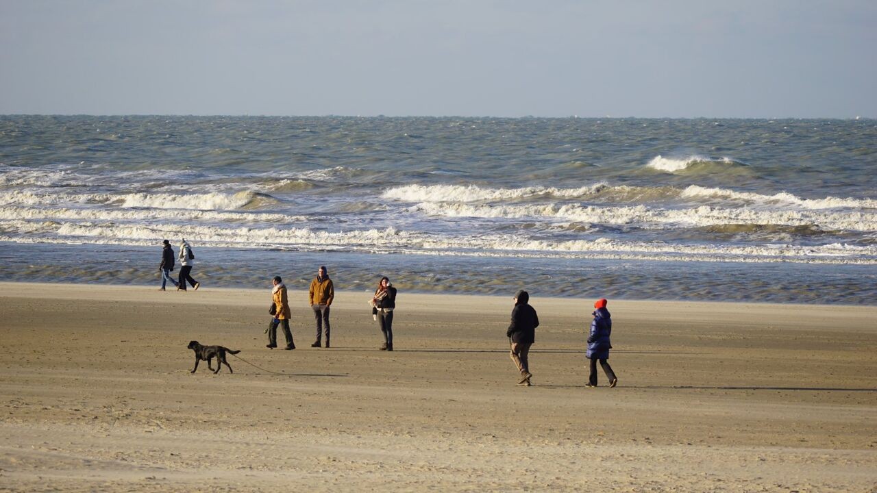 Koudste kerst in 15 jaar: "De gure wind doet het nog ijziger aanvoelen"