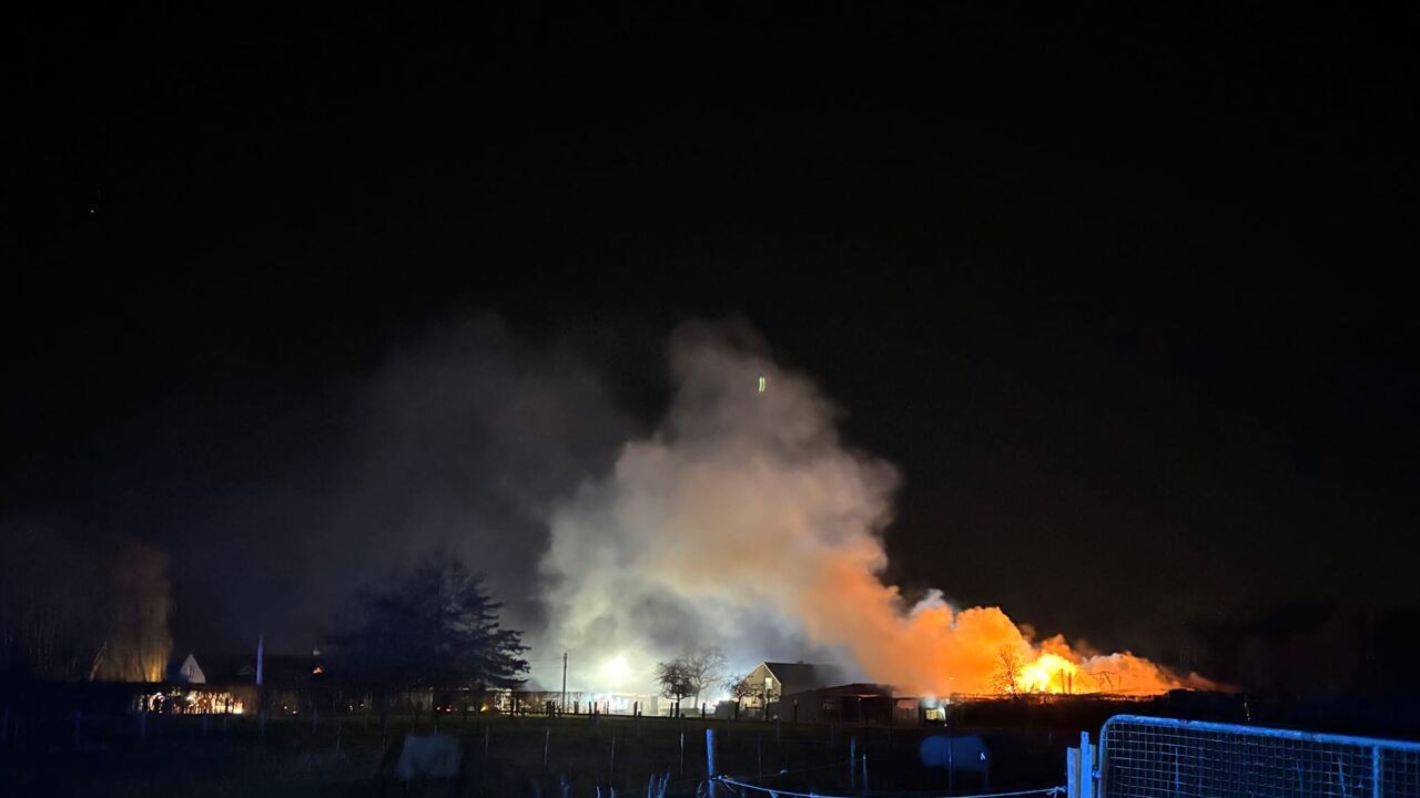 14 paarden sterven in hevige stalbrand Oosterzele, mogelijk is er ook asbest vrijgekomen