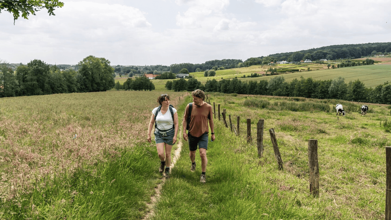 Vakantie in eigen land? Aantal overnachtingen in Vlaamse Ardennen stijgt fors