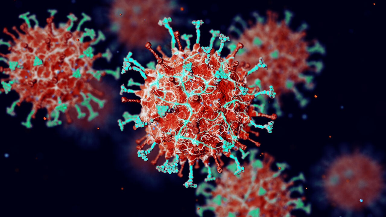 Dodelijk en geen vaccin, maar toch geen reden tot kopzorgen: dit moet je weten over het nipah-virus