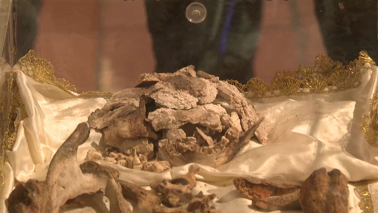 Resten van Franciscus van Assisi voor het eerst te zien voor brede publiek, 800 jaar na zijn dood: "Hij is springlevend"