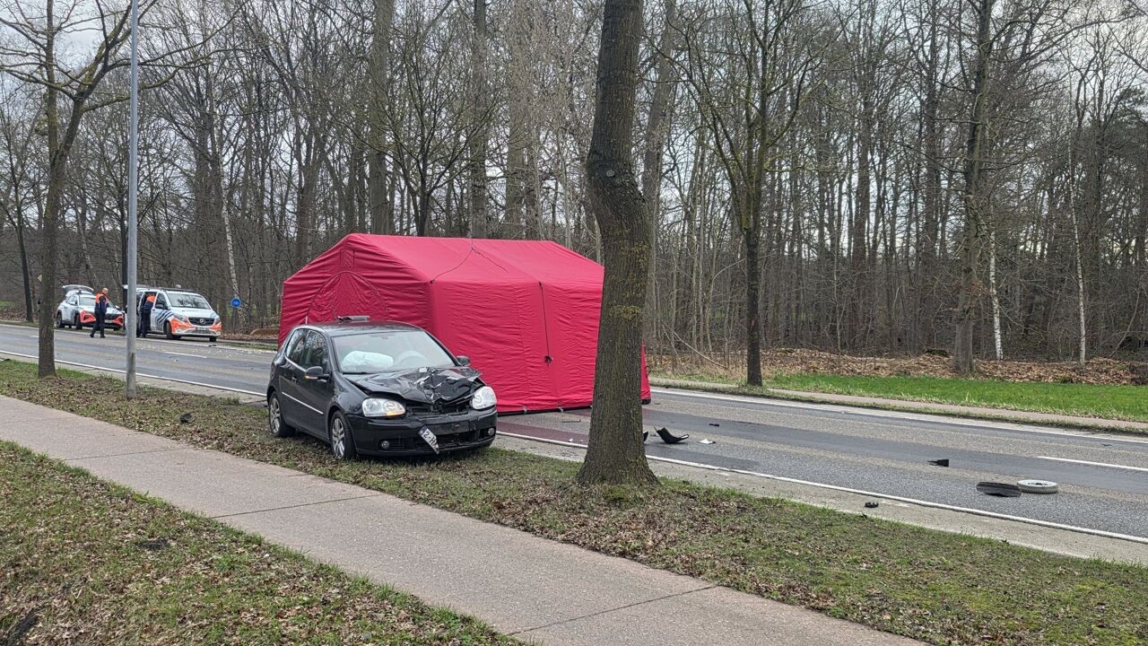 Bestuurder gearresteerd na dodelijk ongeval in Turnhout waarbij vrouw (81) stierf: man reed onder invloed van drugs