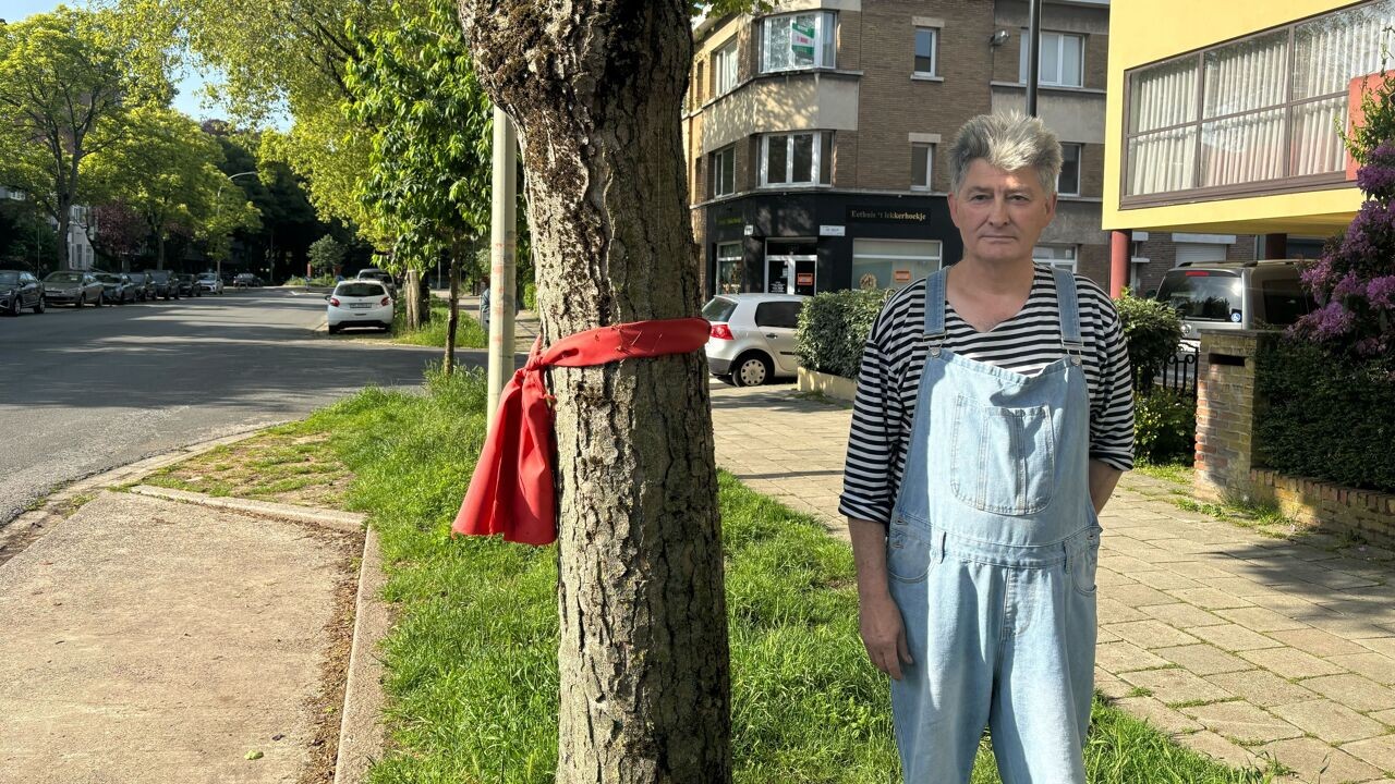 "Liefde voor bomen is groot": opnieuw protest tegen (andere) bomenkap in Deurne