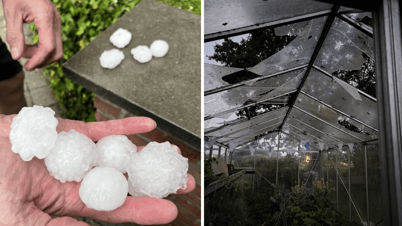 Hagelbollen groter dan pingpongballen veroorzaken lokaal zware schade aan auto's, serres en zonnepanelen