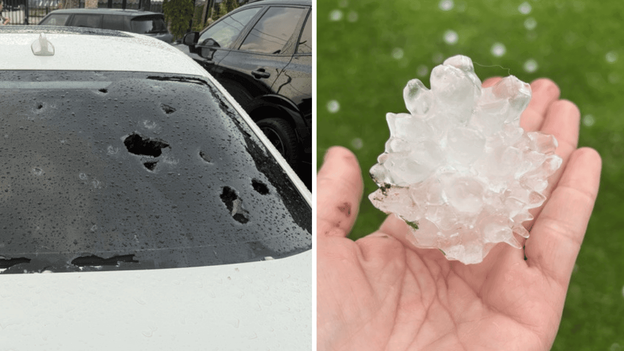 Schade aan serres, daken en auto's na zwaar onweer met hagelbollen groter dan pingpongballen