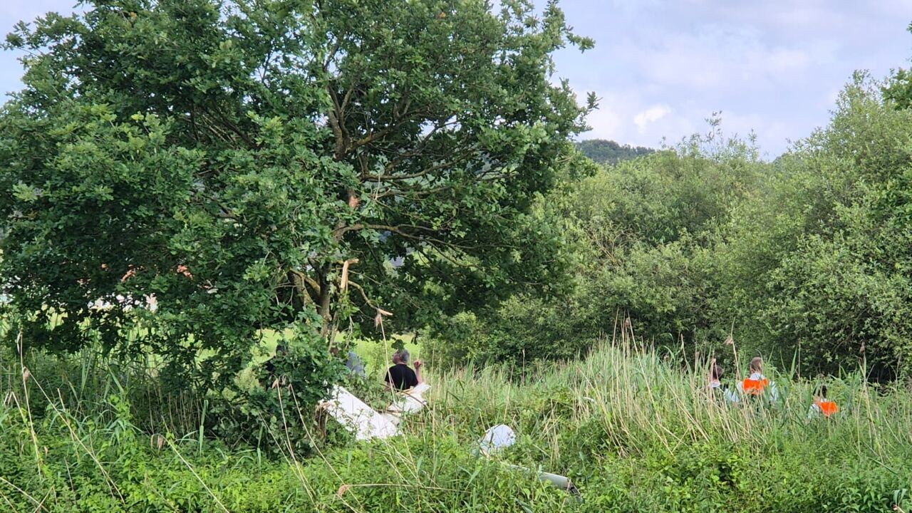 Zweefvliegtuig botst tegen boom in Geraardsbergen: piloot in kritieke toestand naar het ziekenhuis