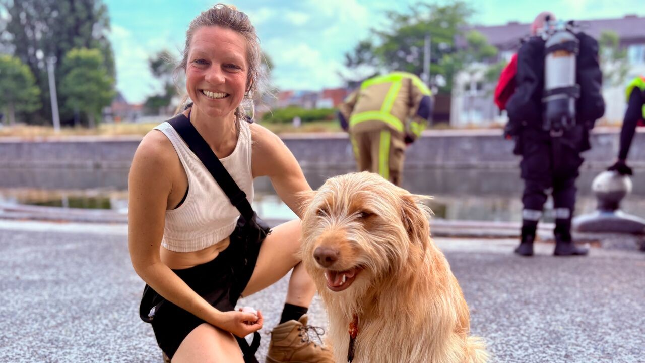 Eline en hond Ginger redden man uit Leie in Harelbeke: "Ginger krijgt vanavond alle snoepjes die hij wil"