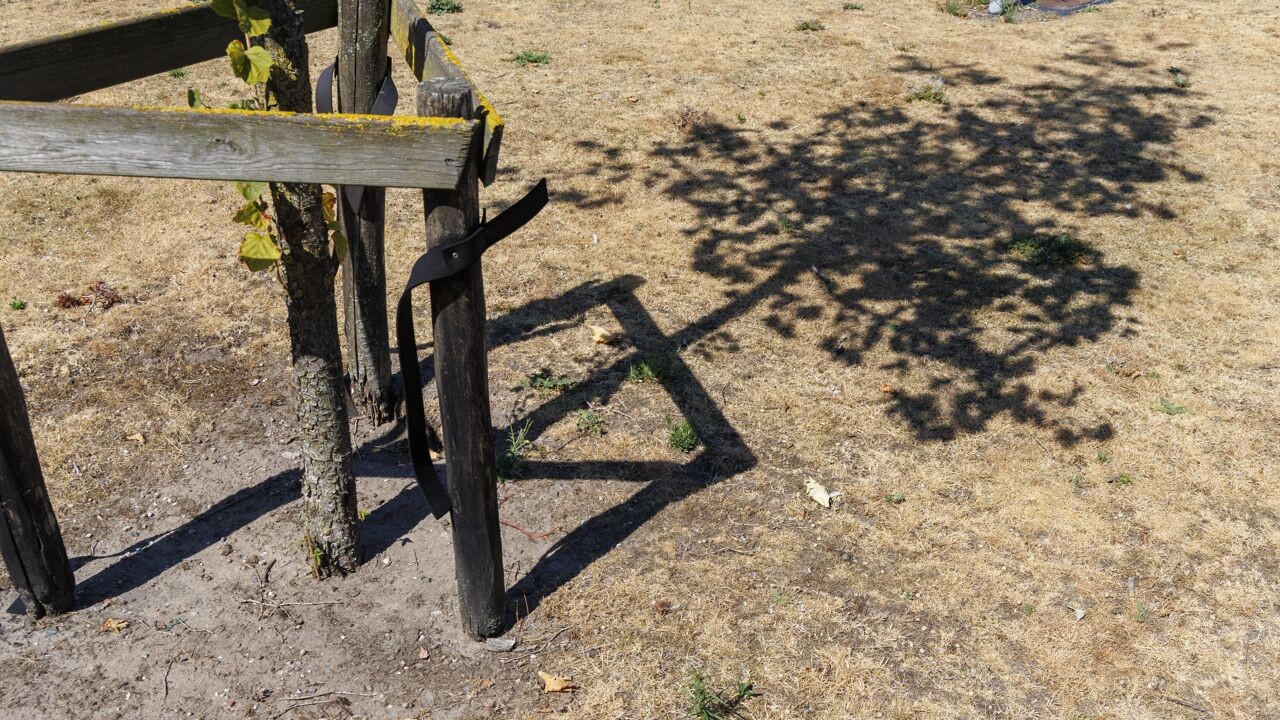 Na 1 van de droogste maanden ooit: beschermt Blue Deal ons voldoende tegen waterschaarste?