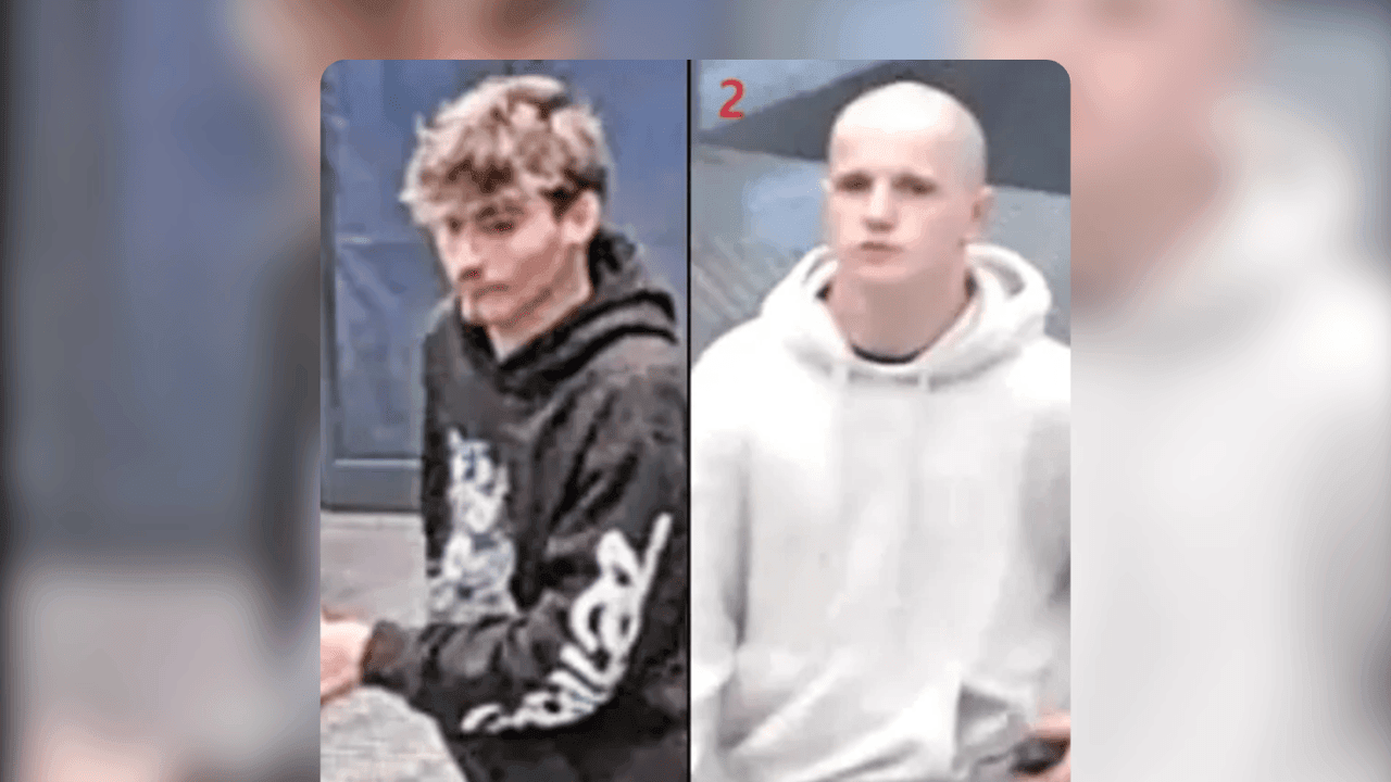 Politie en parket zoeken 2 jonge mannen na brandstichting en beschadiging van auto's in Deinze