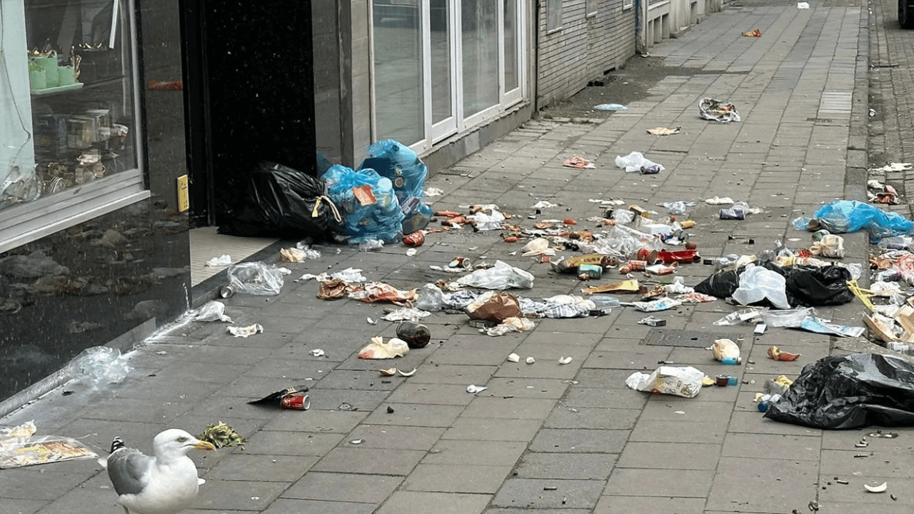 Oostende voert verplichte gft-ophaling in: meeuwbestendige bak moet overlast verminderen