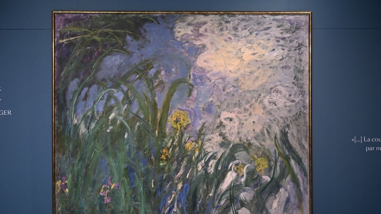 Schilderij 'Iris' van Monet brengt 50 miljoen euro op en breekt Frans veilingrecord