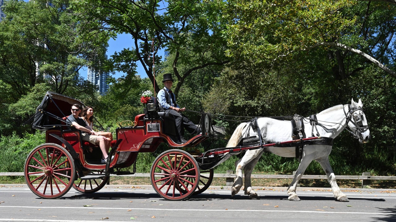Einde aan bijna 170 jaar oude traditie: New York verbiedt paardenkoetsen in Central Park