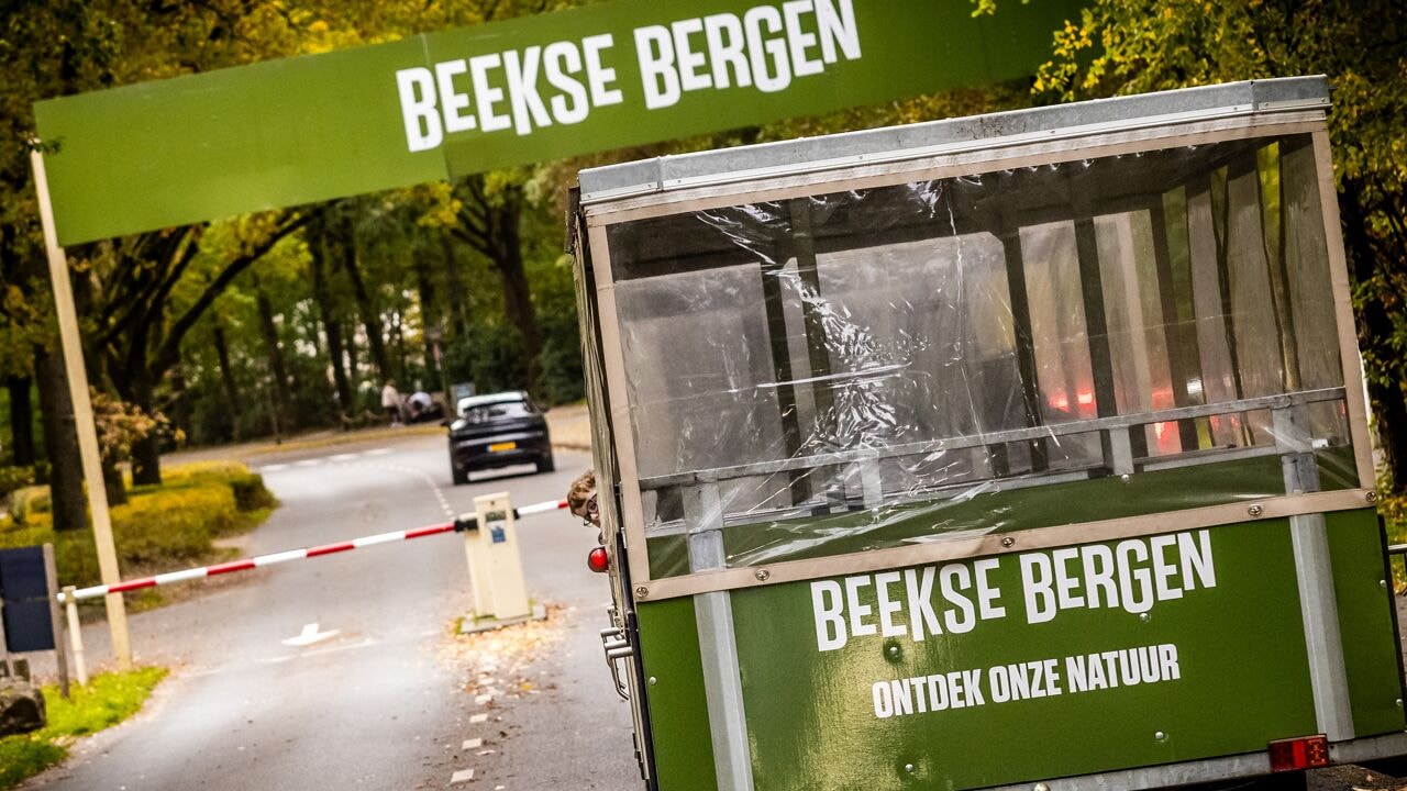 Dierenverzorgster overleden die zwaargewond raakte na aanval door panter in Beekse Bergen: "Ze werkte hier bijna 40 jaar"