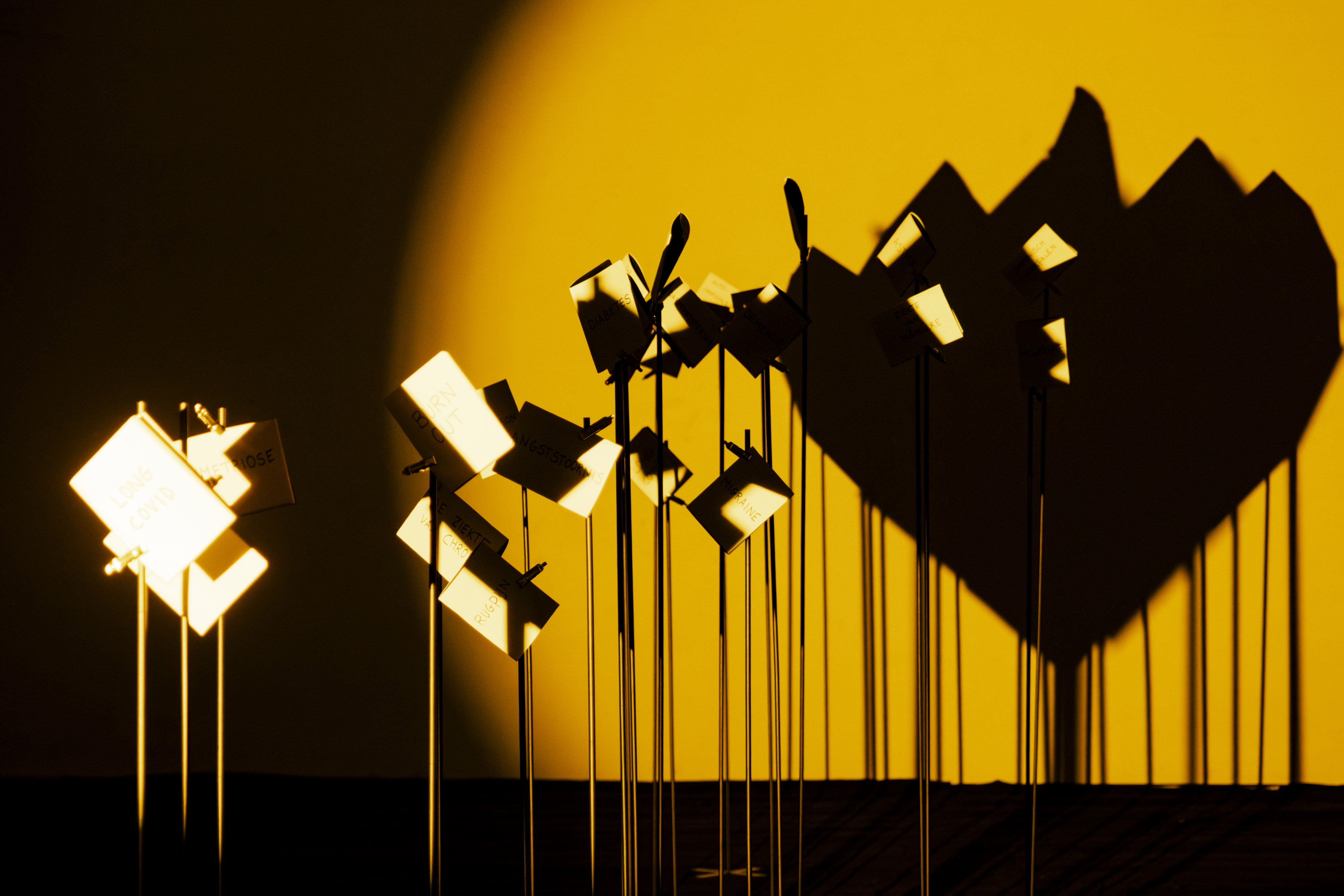 Infostanden voor mensen met of wachtend op een longtransplantatie