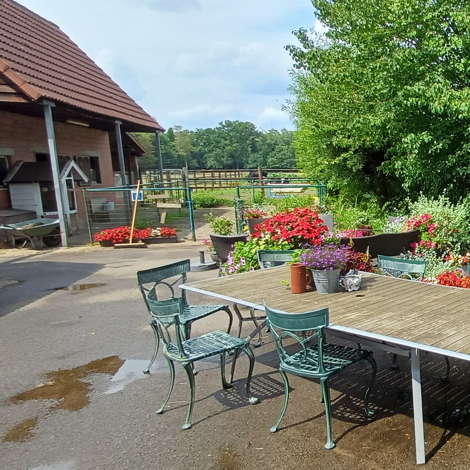 Inclusieve speelweide voor Pulderbos