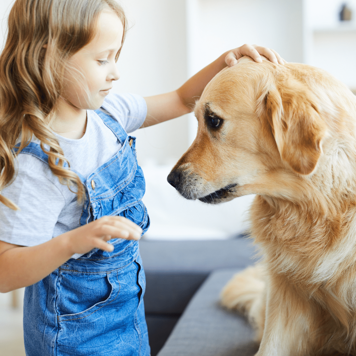 Knuffelpootjes: waar patiënten huisdieren ontmoeten